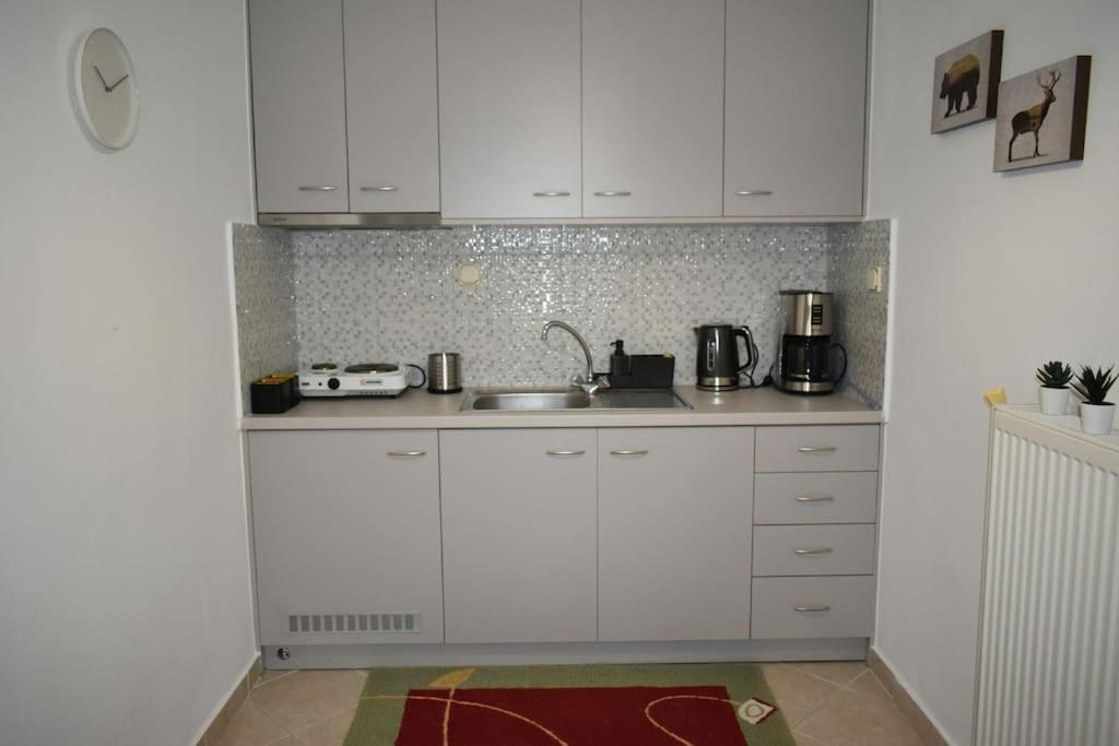 Thalia'S House Apartman Tríkala Kültér fotó