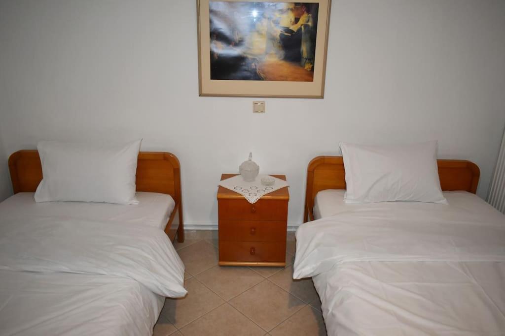 Thalia'S House Apartman Tríkala Kültér fotó